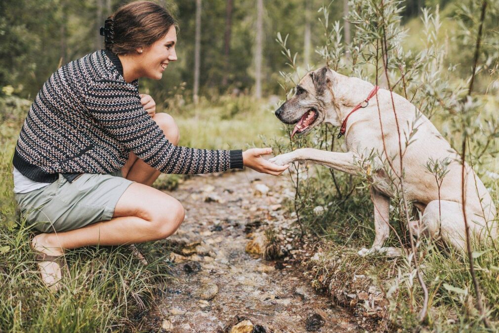 Urlaubstage mit Hund