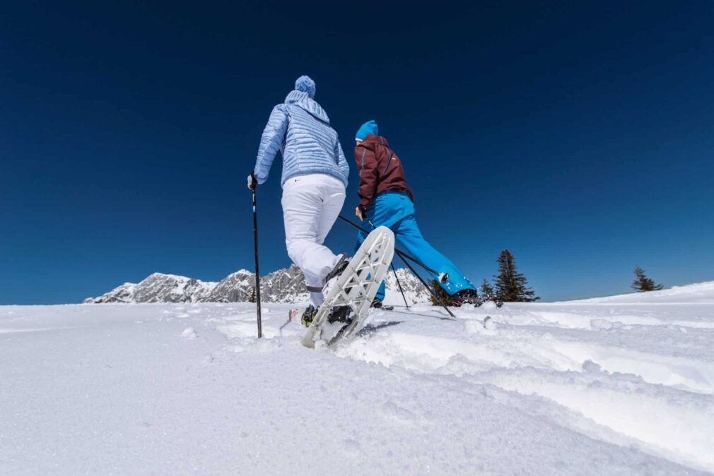 Poesie der weißen Winterpracht